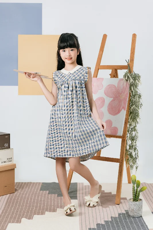 Gingham Dress in Blue